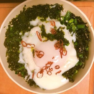 たっぷりネギと海苔の温玉丼